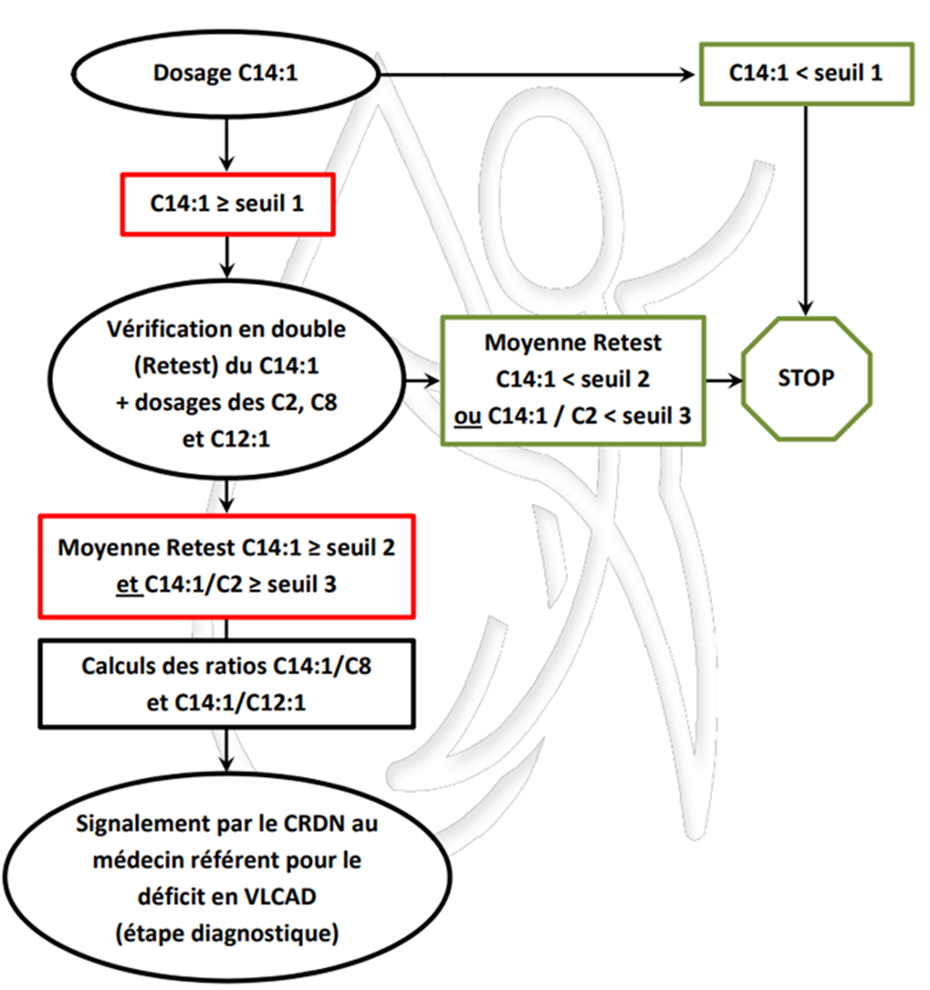 Déficit en acyl-COA-déshydrogénase des acides gras à chaîne très longue (VLCAD) Image