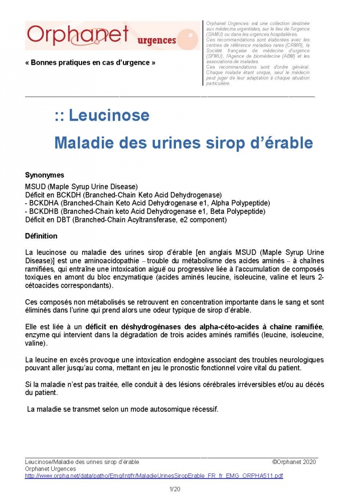 Leucinose - Maladie des urines sirop d'érable (2020)