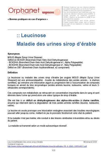Leucinose - Maladie des urines sirop d'érable (2020)