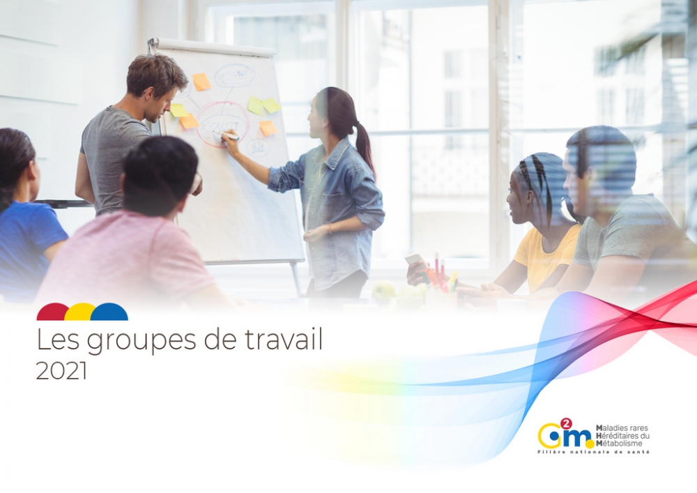 Livret groupes de travail de la filière